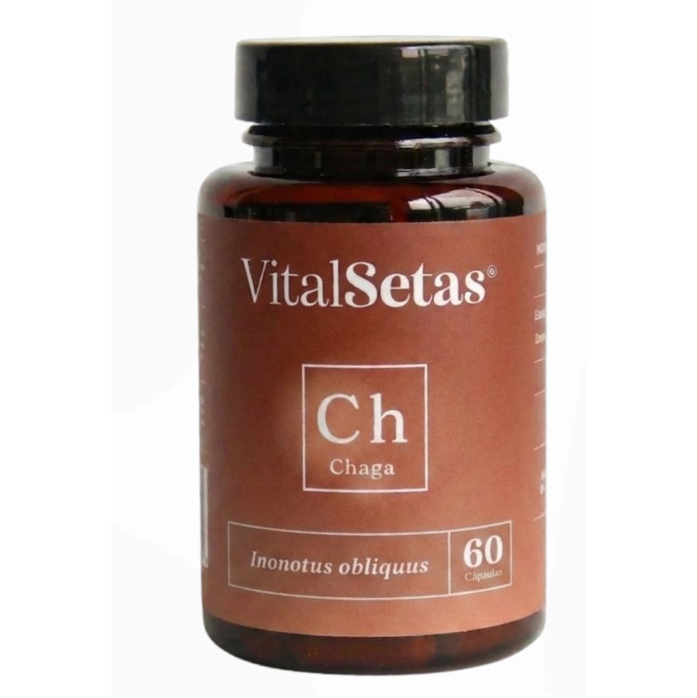 Cápsulas de Chaga VitalSetas VitalSetas Cápsulas x 60 Cápsulas de Chaga VitalSetas VitalSetas Cápsulas x 60