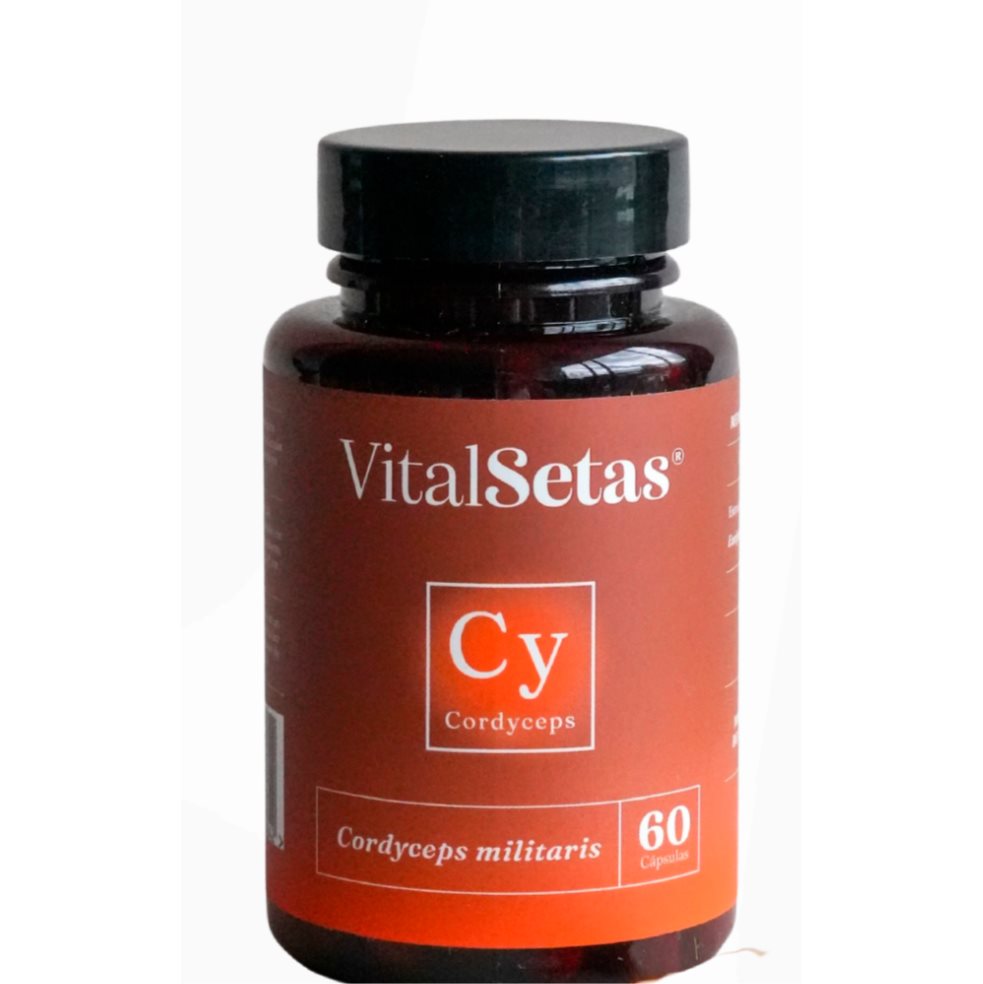 Cápsulas de Cordyceps Vitalsetas VitalSetas Cápsulas x 60 Cápsulas de Cordyceps Vitalsetas VitalSetas Cápsulas x 60