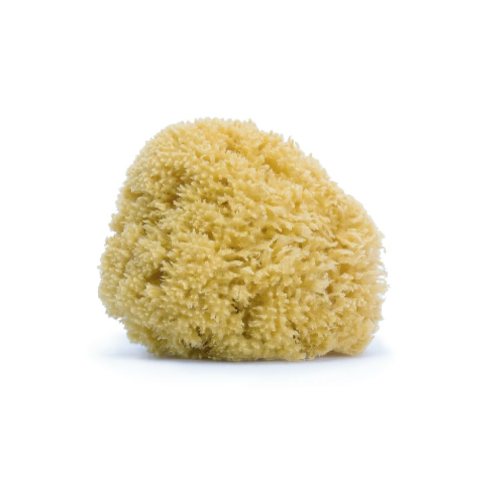 Suavinex Esponja Natural Grande Suavinex bolsa x 1 