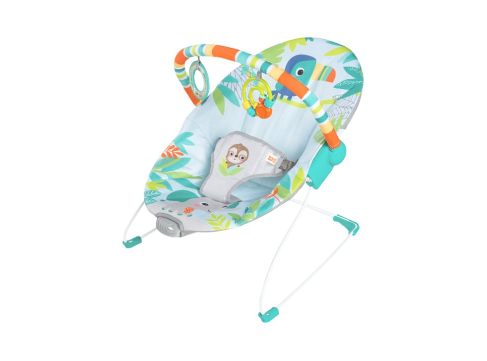 SILLA MECEDORA PARA BEBE BRIGHT STARTS 12227 Bright Starts caja individual x 1  