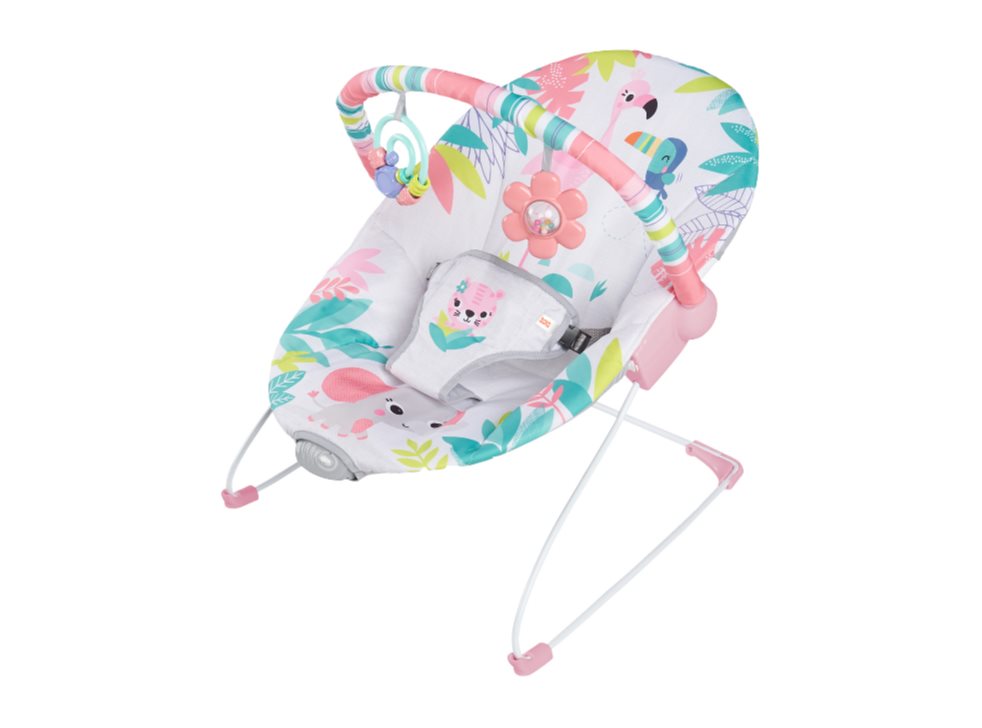 SILLA MECEDORA PARA BEBE BRIGHT STARTS 12228 Bright Starts caja individual x 1 